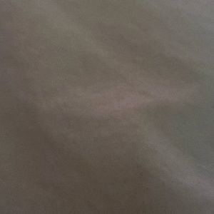 Meet your Posher, Elsie